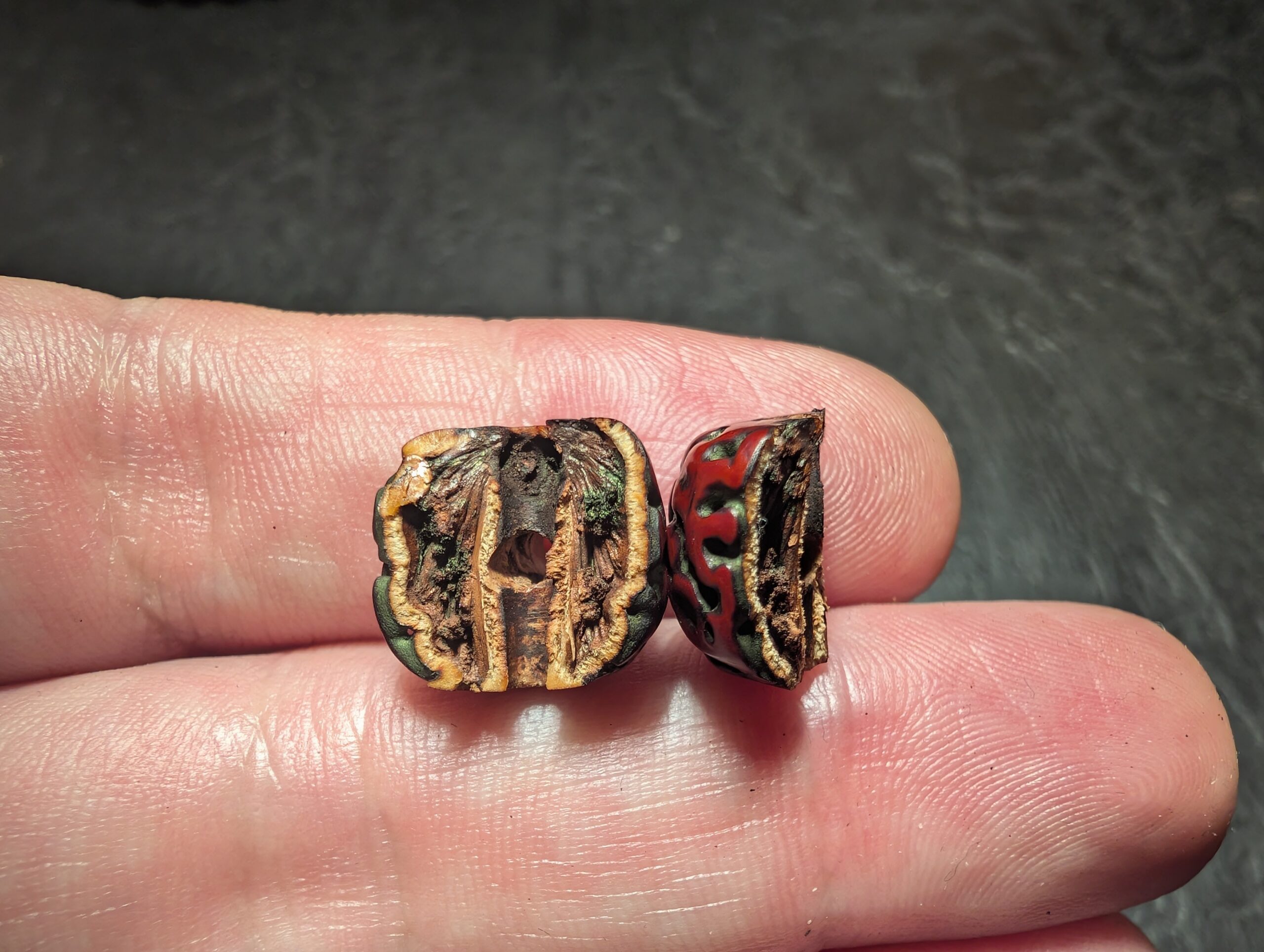 echte rudraksha in Österreich kaufen